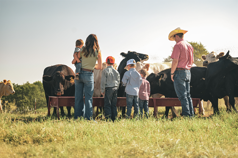Wife, husband, and four children feeding cattle - Home