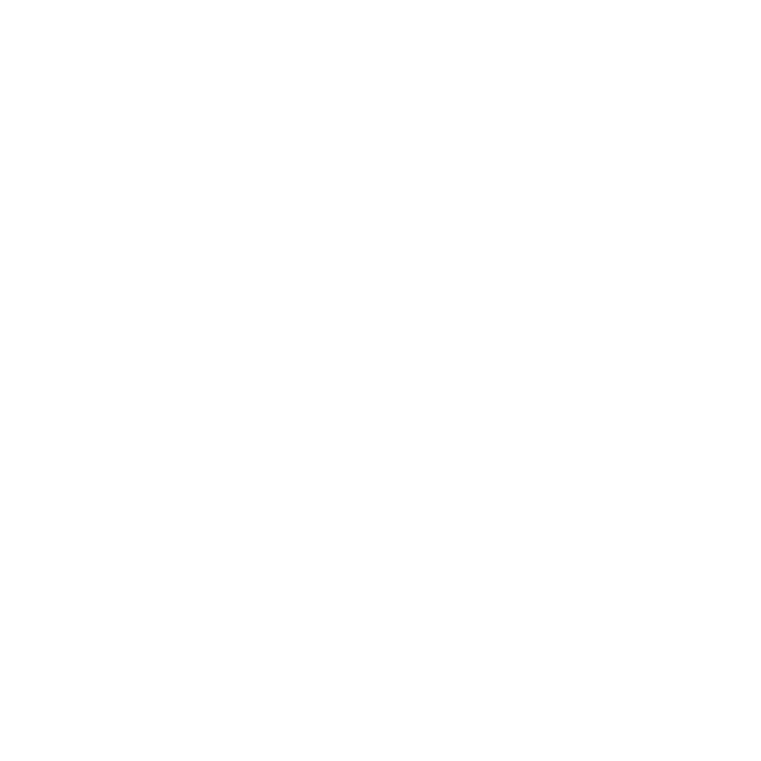 operating loans icon white