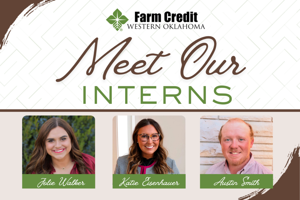 Meet our Summer Interns