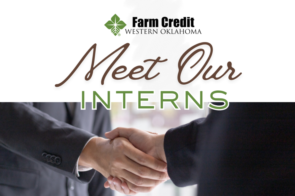 meet our