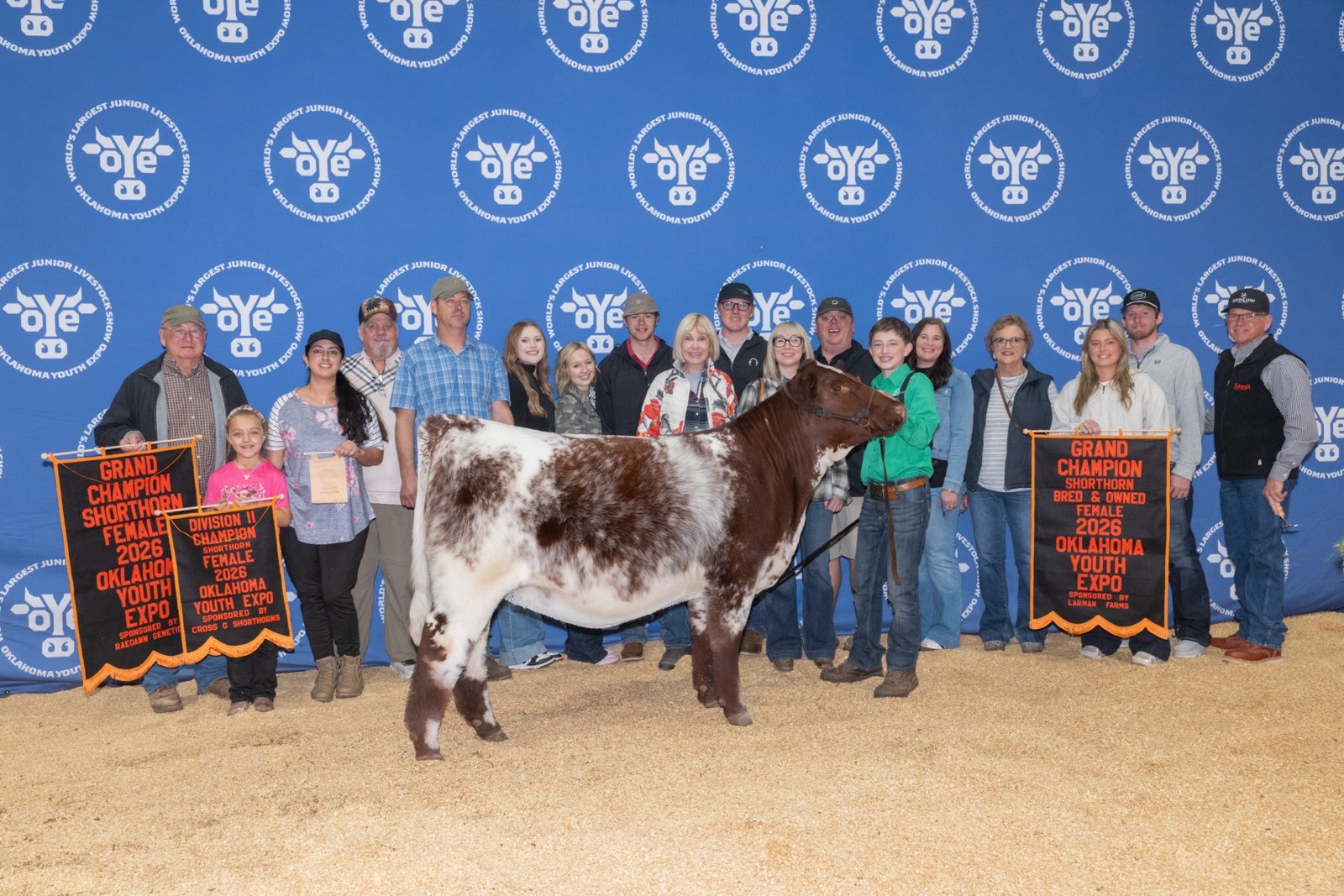 sproul heifer 1